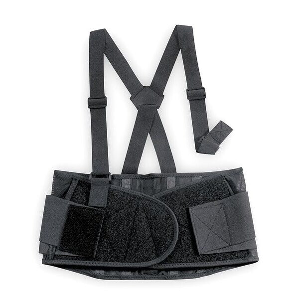 Back Support, Premium With Suspender, L