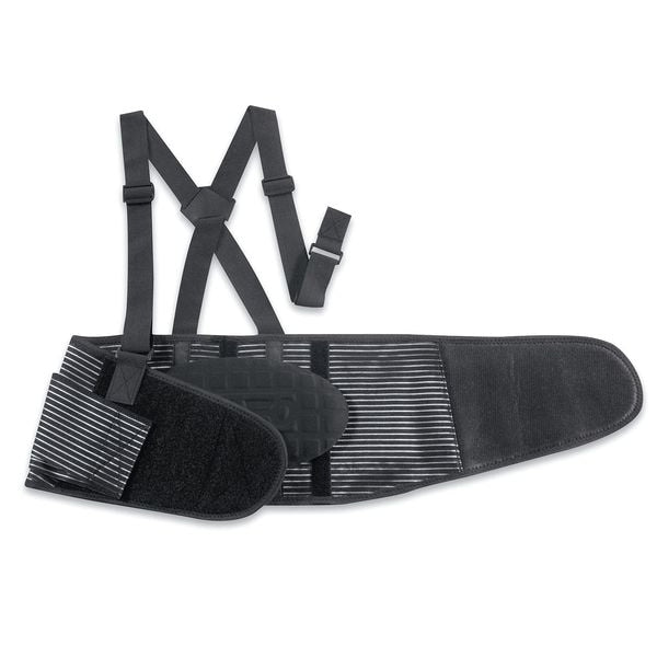 Back Support, Premium, M