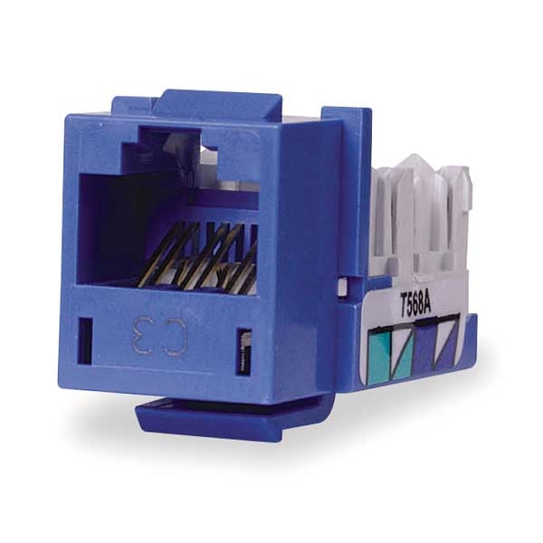 Jack, Blue, Cat6, Rj45