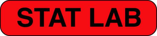 Label, 3/8 In. H, 1-1/2 In. W, PK1000, 141482