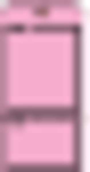 Blank Tag, 5-3/4 x 2-7/8 In, Pink, PK100