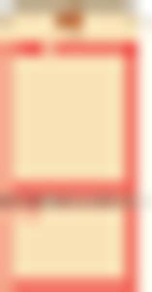 Blank Tag, 5-3/4 x 2-7/8 In, Tan, PK100
