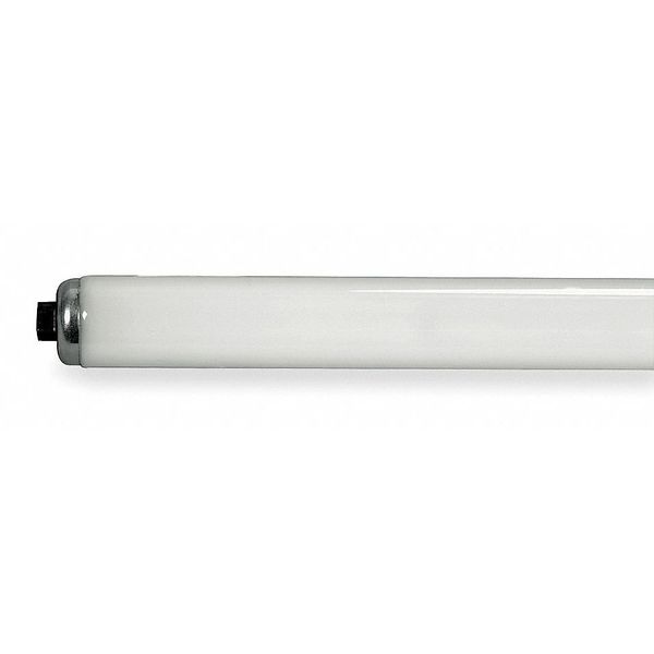 Fluorescent Lamp, T12, Daylight, 6500K