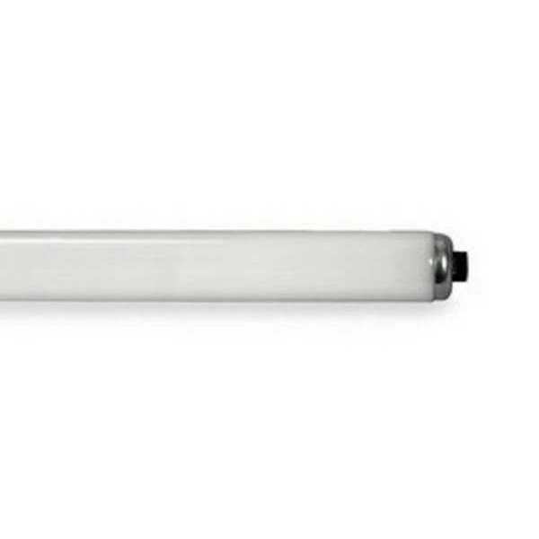Fluorescent Lamp, T12, Daylight, 6500K