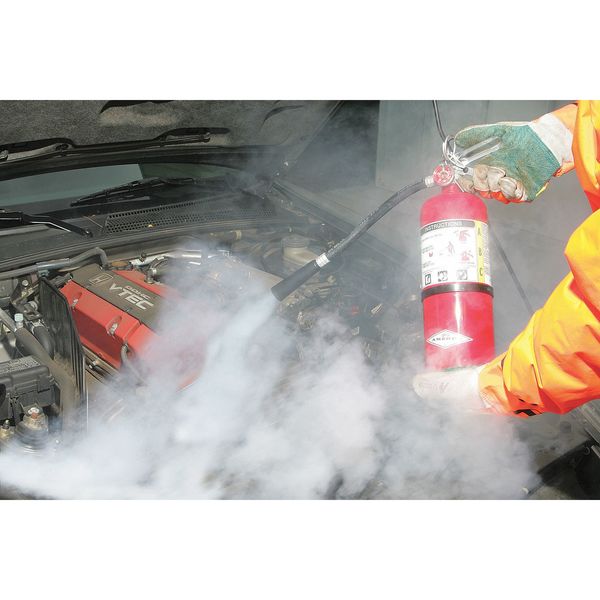 Fire Extinguisher, 2A:10B:C, Dry Chemical, 5 lb