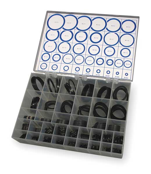 Backup Ring Asst, Buna, 293Pcs, 36Szs