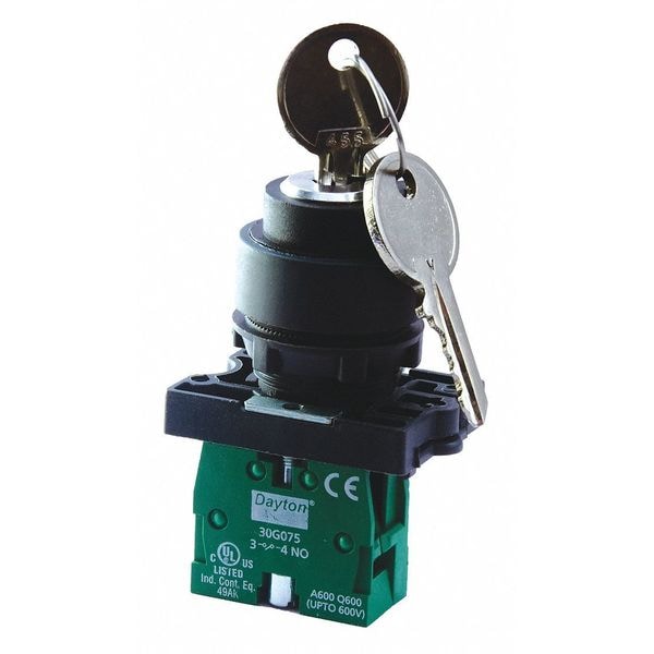 Non-Illum Selector Switch, Silver, Plastic