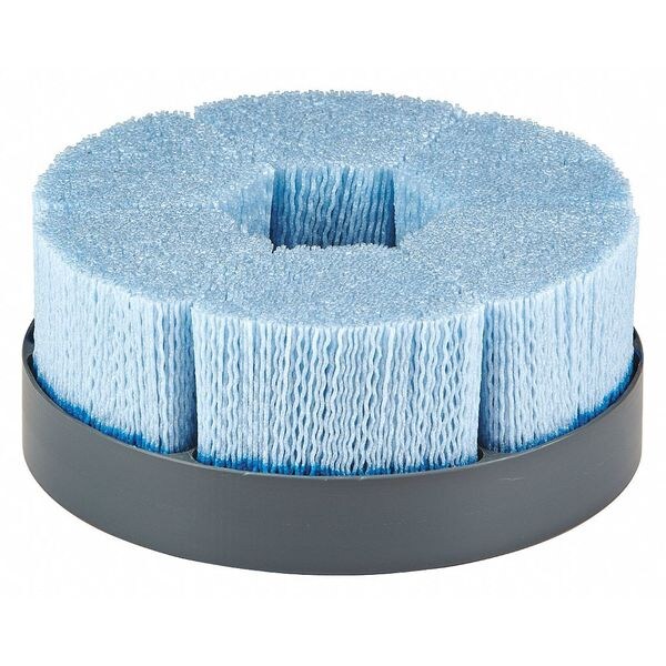 Brush, Teardrop, 6