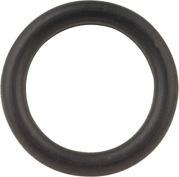Gasket, 10025001