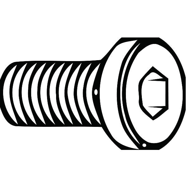 12 mm Torx Oval Machine Screw