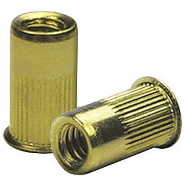 Rivet Nut, #6-32 Thread Size, 0.31 in Flange Dia., 0.47 in L, Steel, 50 PK