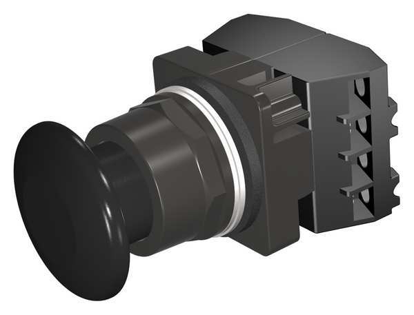 Non-Illuminated Push Button, 30 mm, 2NC, Black