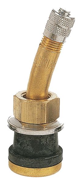 Tire Valve, Stdrd Bore, 2in, Brass, PK10