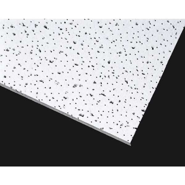 Ceramaguard Ceiling Tile, 24 in W x 24 in L, 12 PK