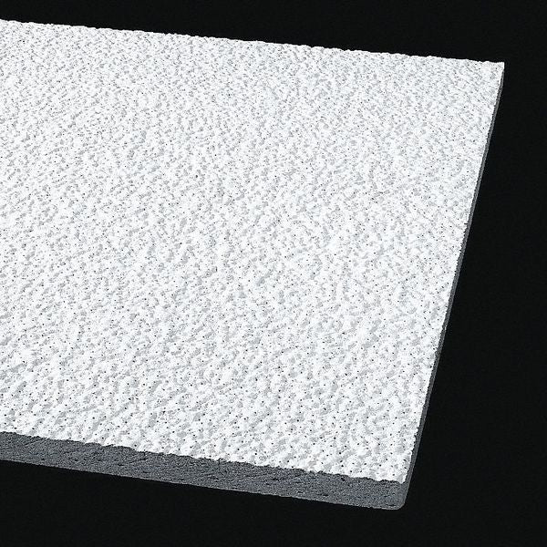 Armatuff Ceiling Tile, 24 in W x 48 in L, 8 PK