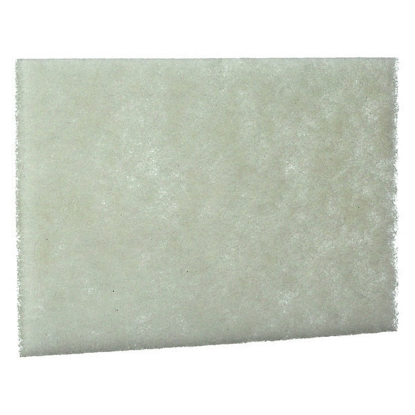 Light Duty Scouring Pad, PK20