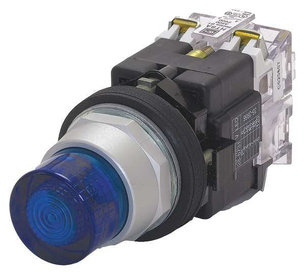 Illuminated Push Button, 30mm, Blue
