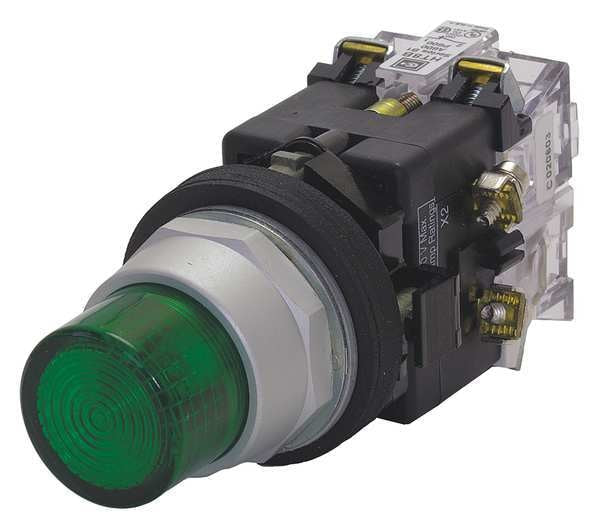 Illuminated Push Button, 30mm, 120VAC