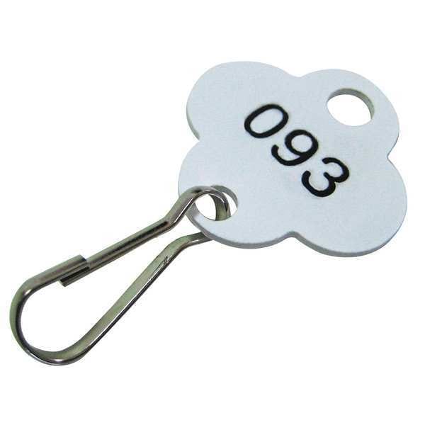 Key Tag Numbered 1 to 100, PK100