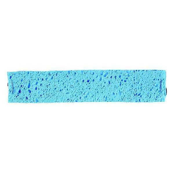 Sweatband, Blue, Cellulose, Universal, PK100