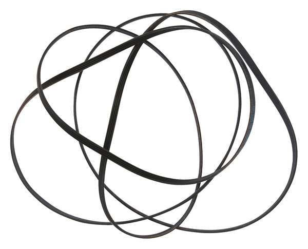 Drive Belt