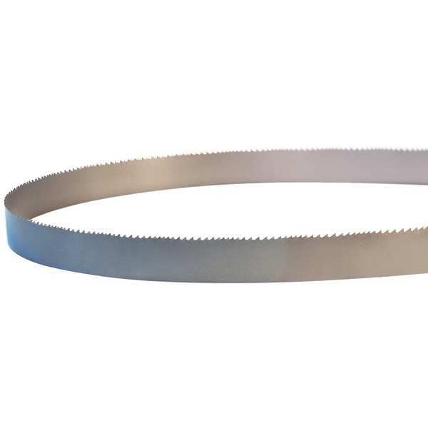 Band Saw Blade, 23 ft. 10-1/2