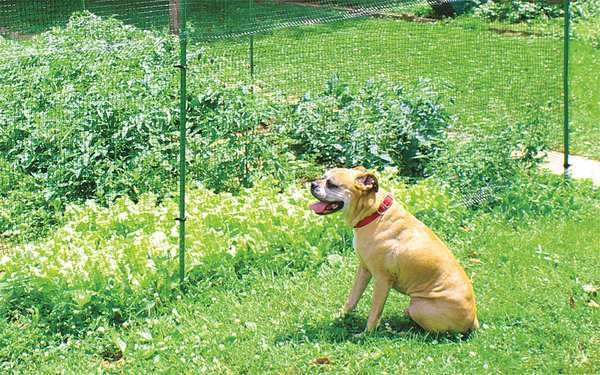 Deer Fence, 7 ft. H, 100 ft. L, Square