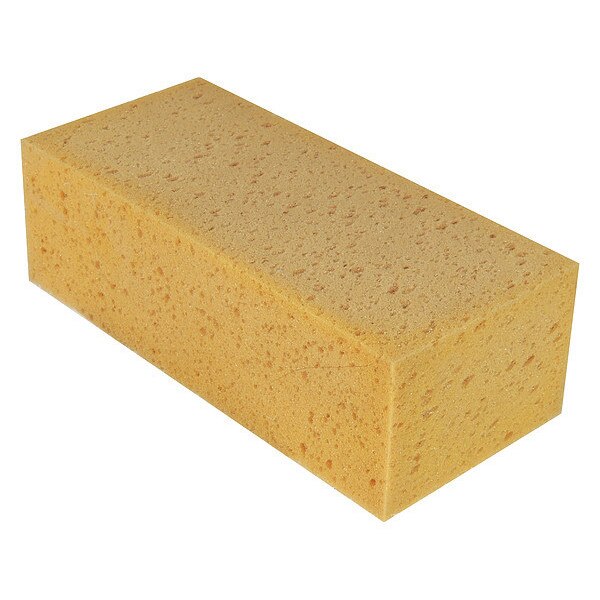 The Sponge