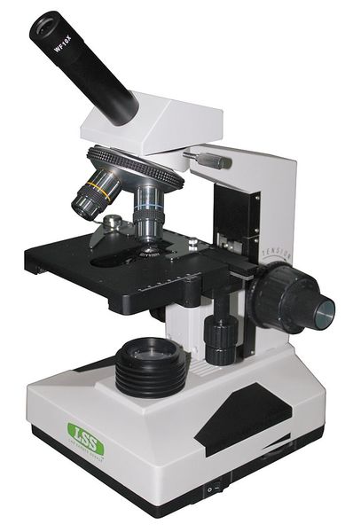 Microscope, 4X, 10X, 100x Mag