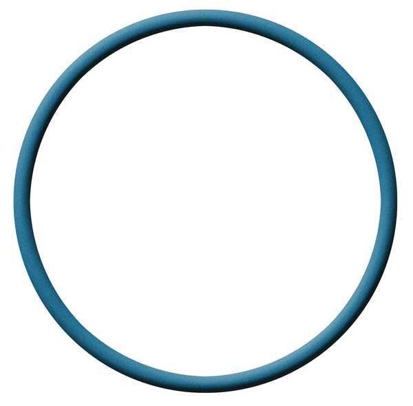 Metal Detectable FDA Viton O-Ring, Dash 224, PK2