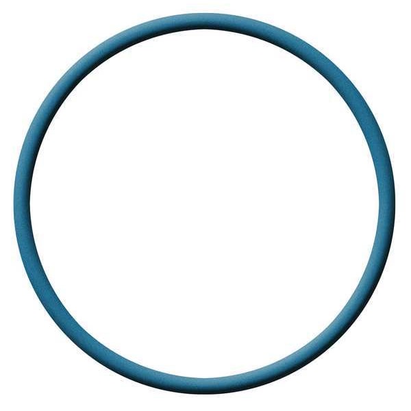 Metal Detectable FDA Viton O-Ring, Dash 109, PK10