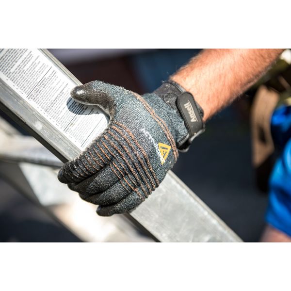 Cut Resistant Coated Gloves, A2 Cut Level, Nitrile, L, 1 PR