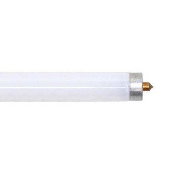 Fluorescent Lamp, T8, Very Cool, 5000K