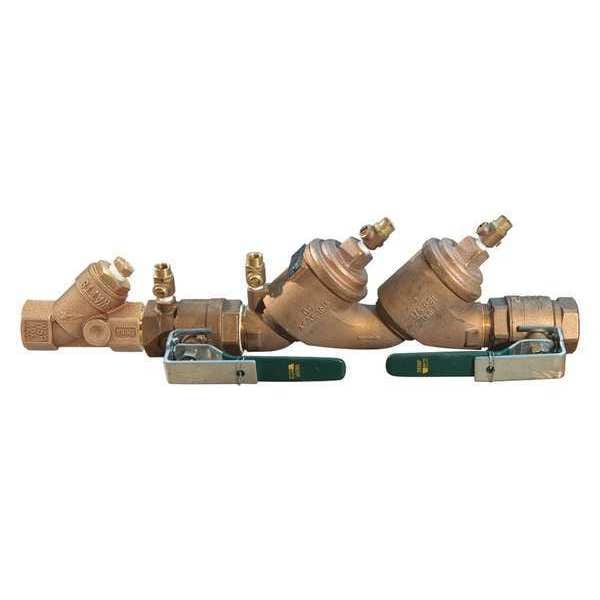 Double Check Valve, Watts 719, 2in, FNPT