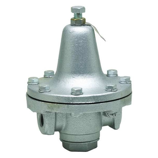 Steam Pressure Regulator, 1/2in, 30-140psi
