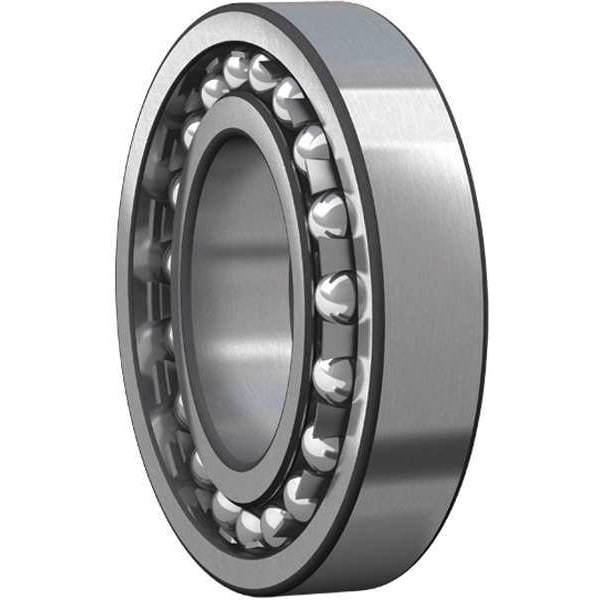 Bearing, Bore 25mm, Industry 1205-ETN9