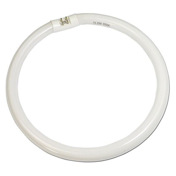 Replacement Lamp