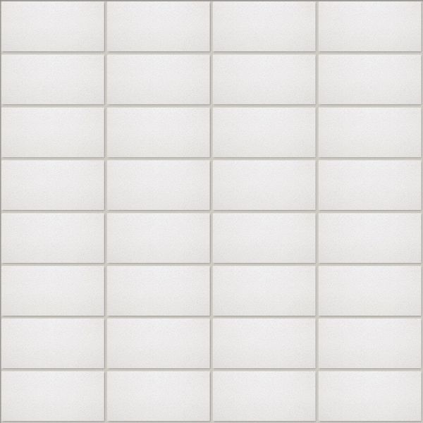 Clean Room Ceiling Tile, 24 in W x 48 in L, 8 PK