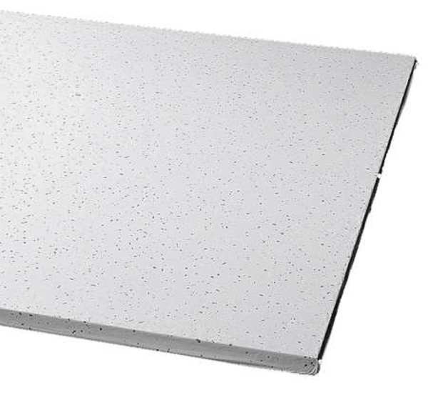 Clean Room Ceiling Tile, 24 in W x 48 in L, 8 PK