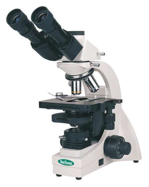 Compound Microscope, 10X, 20X, 40X, 100X