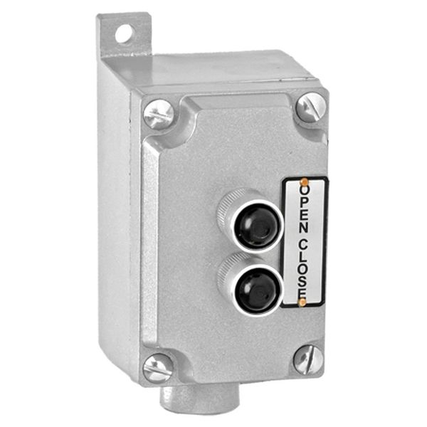 Control Station, 2 Buttons, Nema 7/9