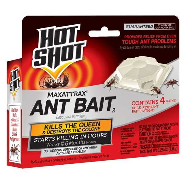 4 ct Trap Indoor/Outdoor Ant Killer