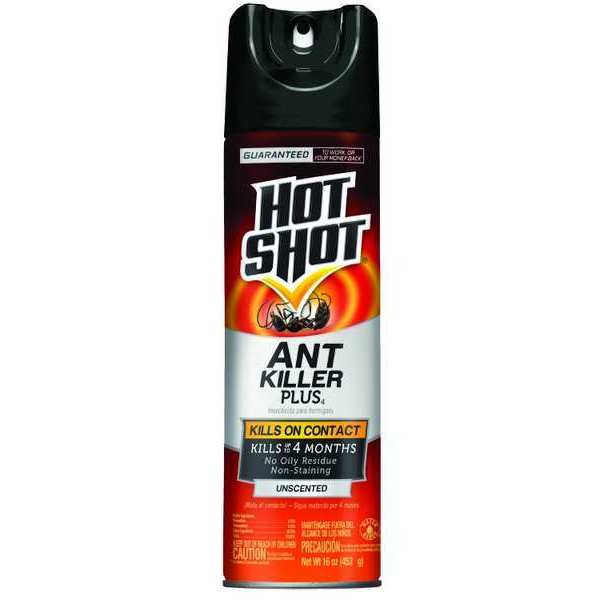 16 oz. Aerosol Indoor/Outdoor Ant Killer