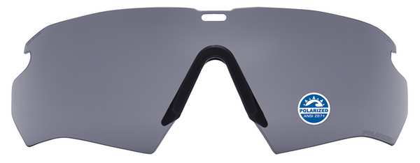Replacement Polarized Lens