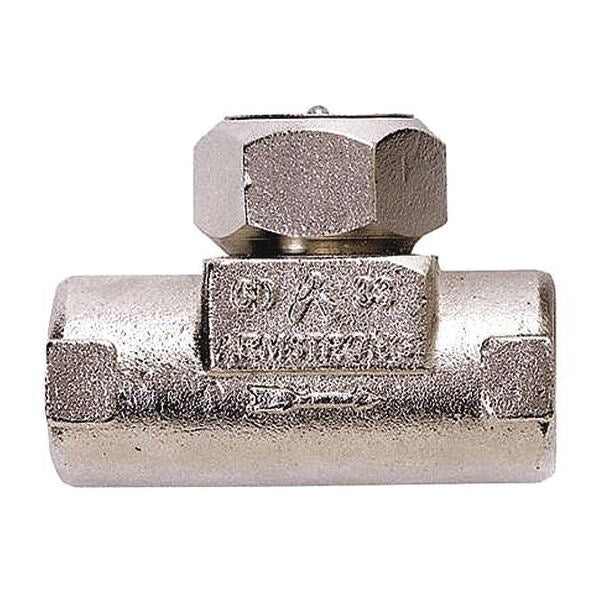 Steam Trap, 600 psi, 752F, 3-15/16 In. L