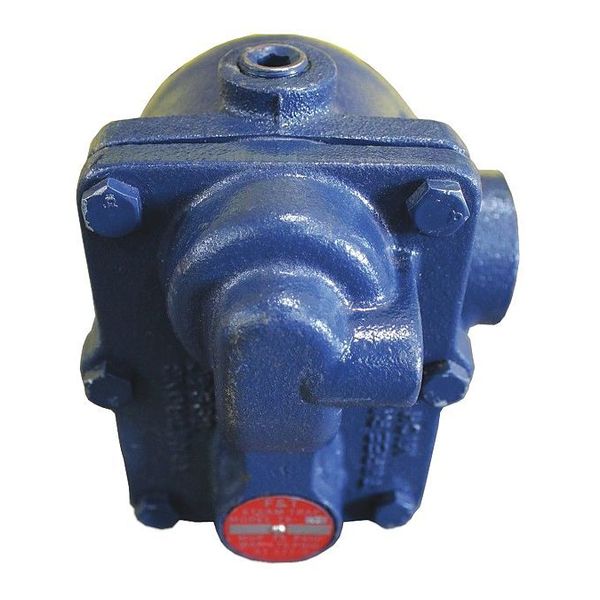 Steam Trap, 175 psi, 377F, 5-1/2 In. L