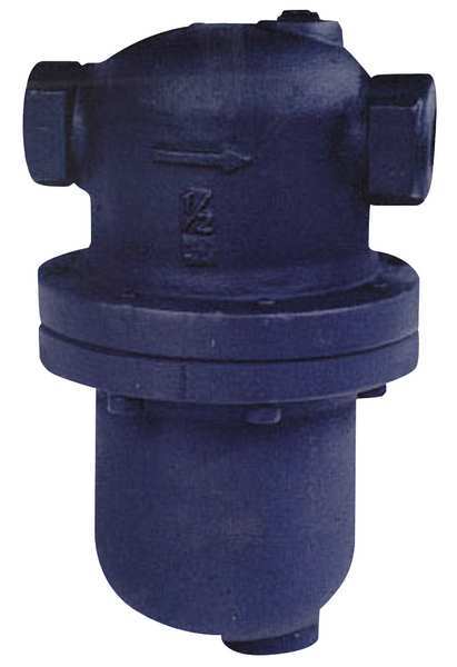 Steam Separator, 1/2 In, 300 psi