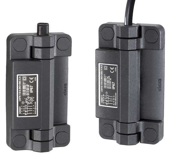 110mmH Hinged Safety Interlock Switch