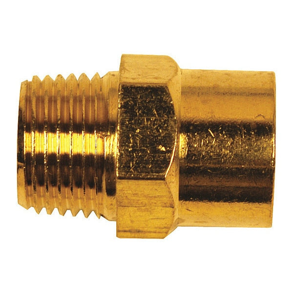 Female 1/4
