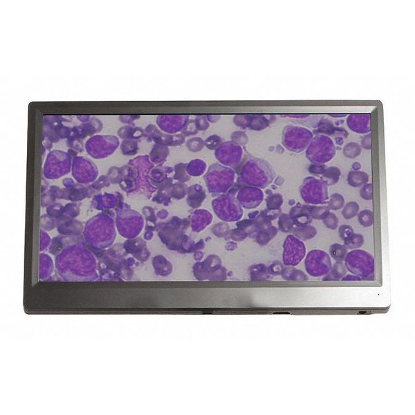 Bioview Microscope Camera And Monitor
